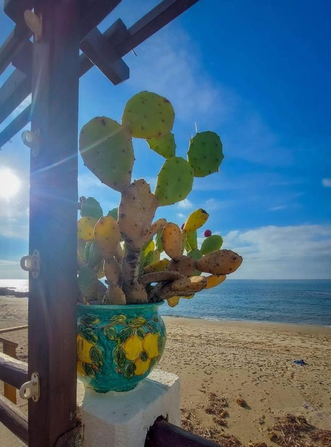 Appartamento La Coffa Agnone Cilento Exterior foto